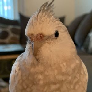 Meet your Posher, Sandra